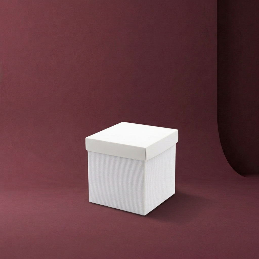 19 scatola new box